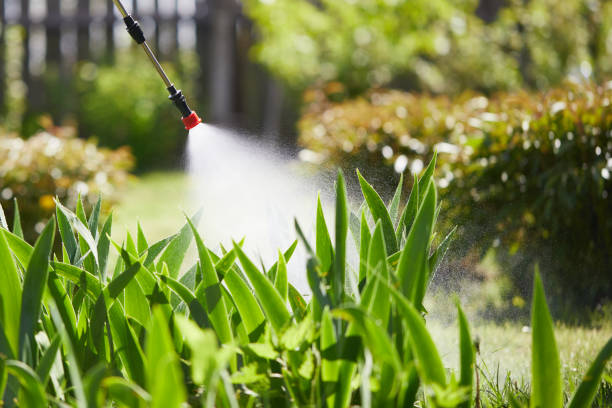 24/7 Emergency Mosquito Control experts in Slayton, MN